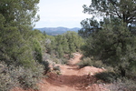 photo thumbnail #5