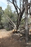 photo thumbnail #10