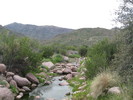 photo thumbnail #2