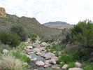 photo thumbnail #3