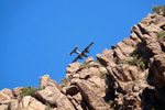 photo thumbnail #8