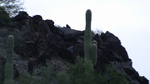 photo thumbnail #2