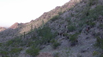 photo thumbnail #15