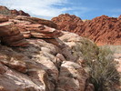 photo thumbnail #3