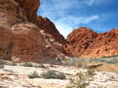 photo thumbnail #4