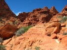 photo thumbnail #8
