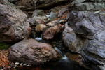 photo thumbnail #11