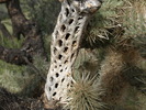 photo thumbnail #9
