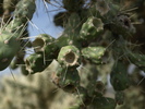 photo thumbnail #10