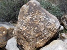 photo thumbnail #6