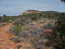 photo thumbnail #7