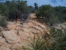 photo thumbnail #8