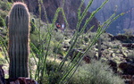 photo thumbnail #13