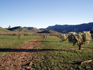 photo thumbnail #5