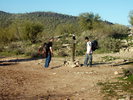 photo thumbnail #9