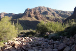 photo thumbnail #3