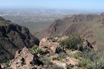 photo thumbnail #9