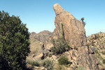 photo thumbnail #15