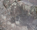 photo thumbnail #12