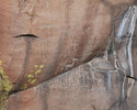 photo thumbnail #14