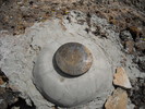photo thumbnail #8