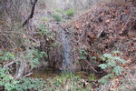 photo thumbnail #11