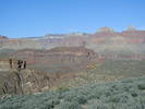 photo thumbnail #13