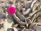 photo thumbnail #1