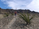 photo thumbnail #5
