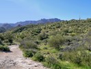 photo thumbnail #1