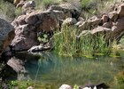 photo thumbnail #8