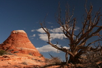 photo thumbnail #1