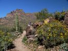 photo thumbnail #3