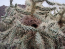 photo thumbnail #2