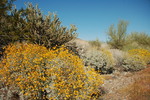 photo thumbnail #5