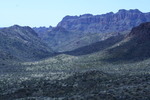 photo thumbnail #3