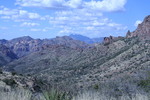 photo thumbnail #6
