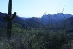 photo thumbnail #7