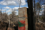 photo thumbnail #13