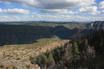 photo thumbnail #14
