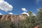 photo thumbnail #12