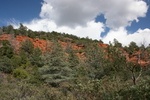 photo thumbnail #14