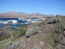 photo thumbnail #2