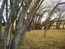 photo thumbnail #2