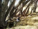photo thumbnail #3