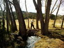 photo thumbnail #8
