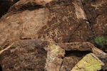 photo thumbnail #5