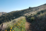 photo thumbnail #5