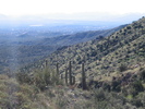 photo thumbnail #7
