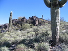 photo thumbnail #12